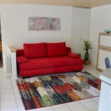 Casa Ortensia Apartment Gambarogno Luaran gambar