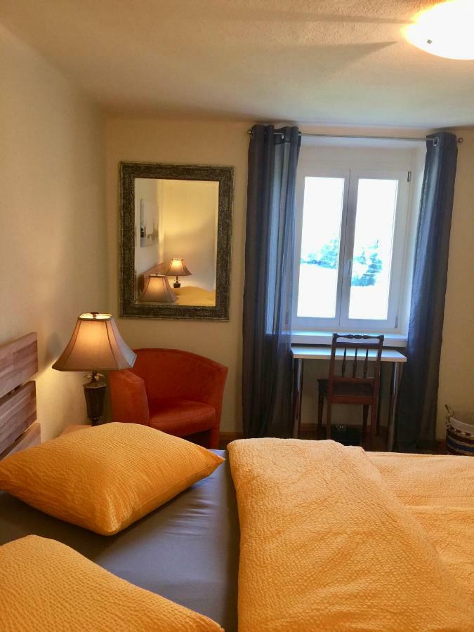 Casa Ortensia Apartment Gambarogno Luaran gambar