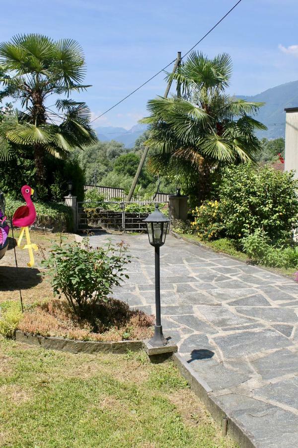 Casa Ortensia Apartment Gambarogno Luaran gambar