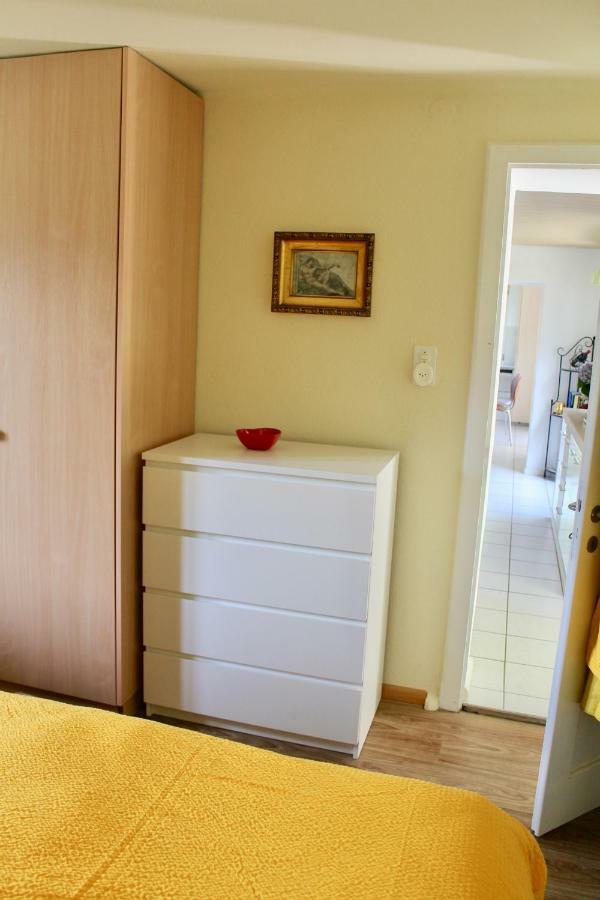 Casa Ortensia Apartment Gambarogno Luaran gambar
