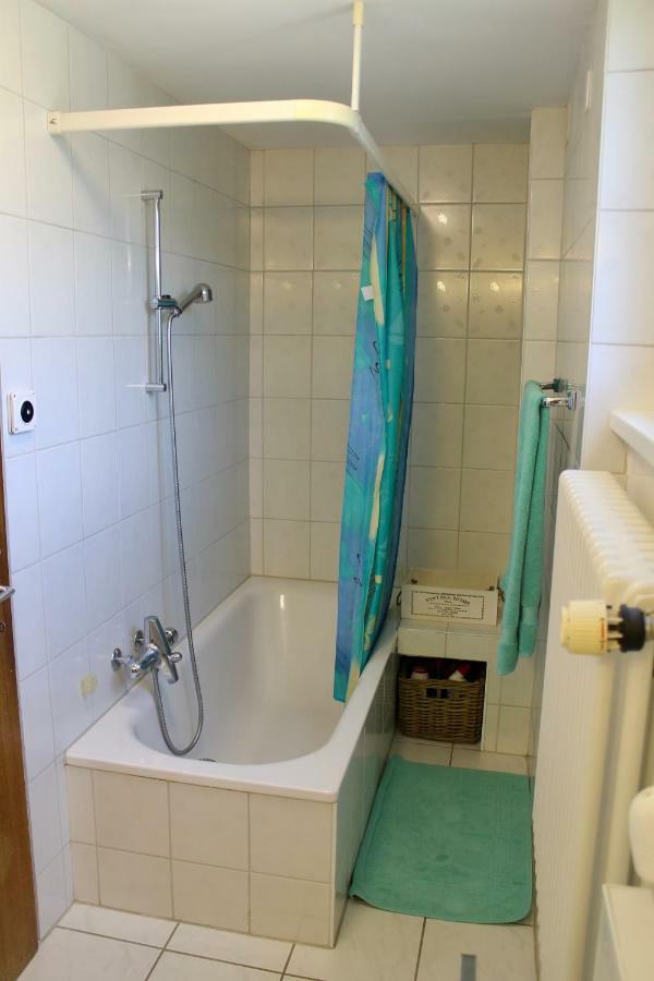 Casa Ortensia Apartment Gambarogno Luaran gambar