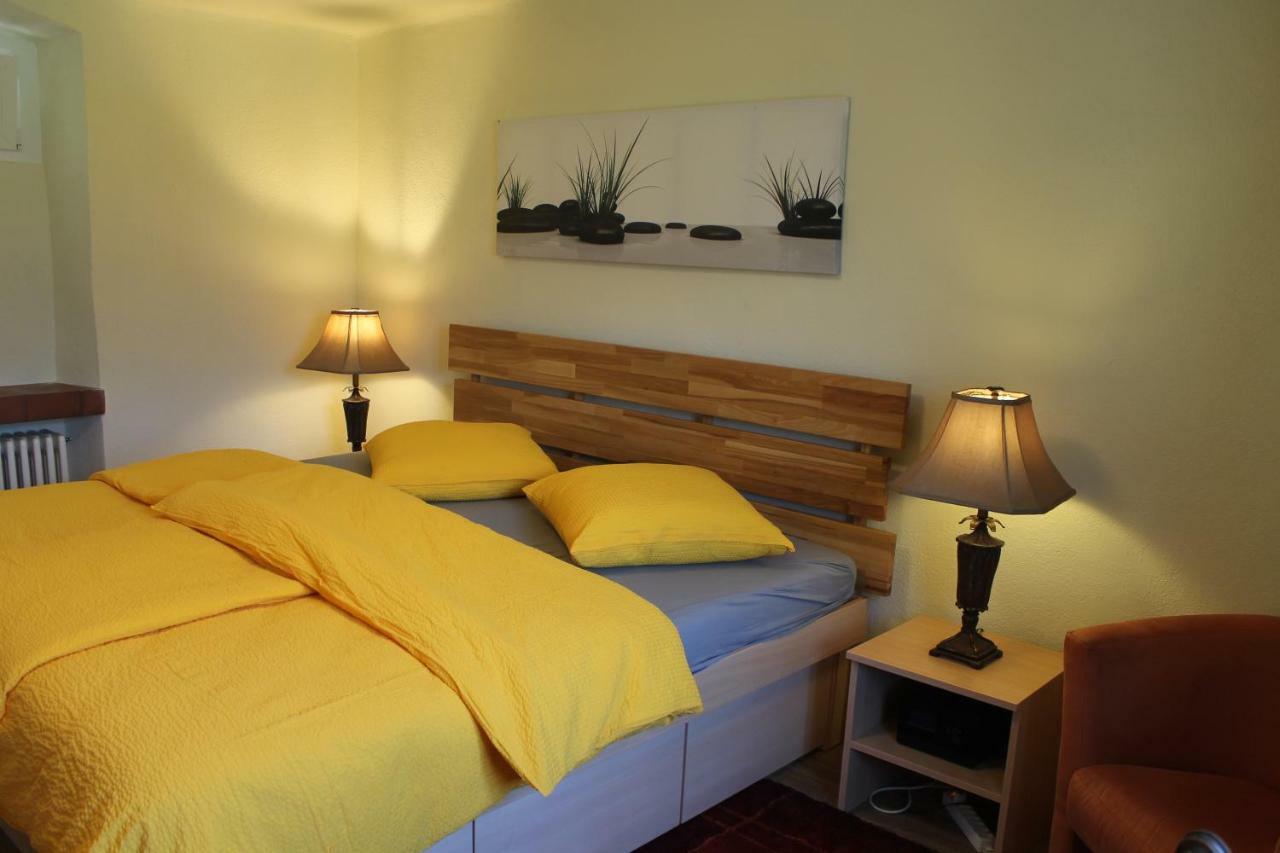 Casa Ortensia Apartment Gambarogno Luaran gambar