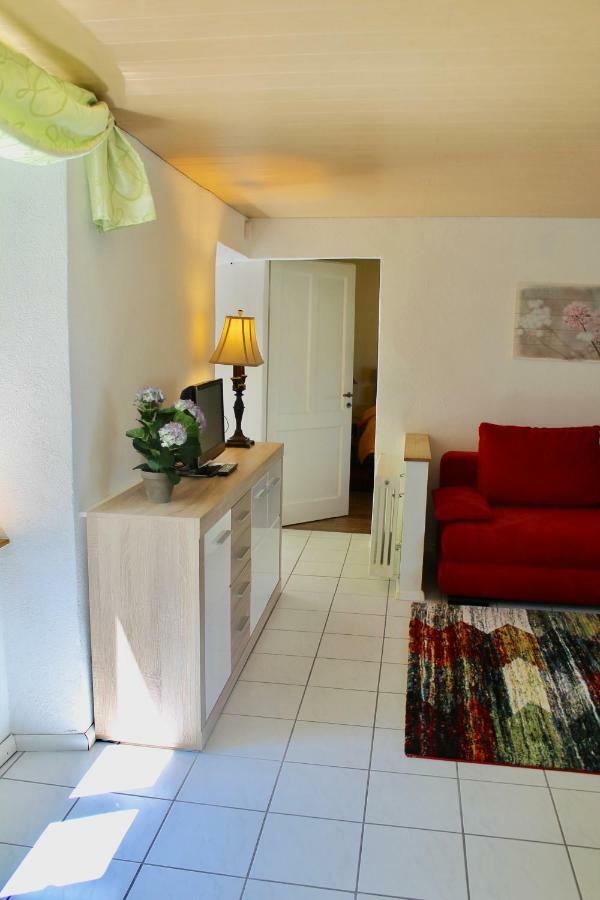 Casa Ortensia Apartment Gambarogno Luaran gambar